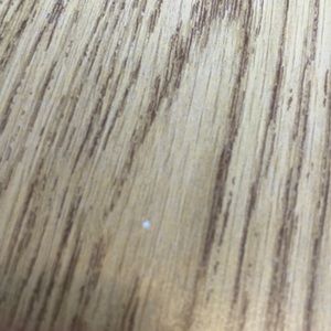 Meet your Posher, Grayson